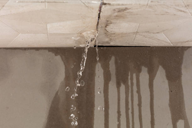 Professional Burst Pipe Cleanup technician working in Nanuet, NY